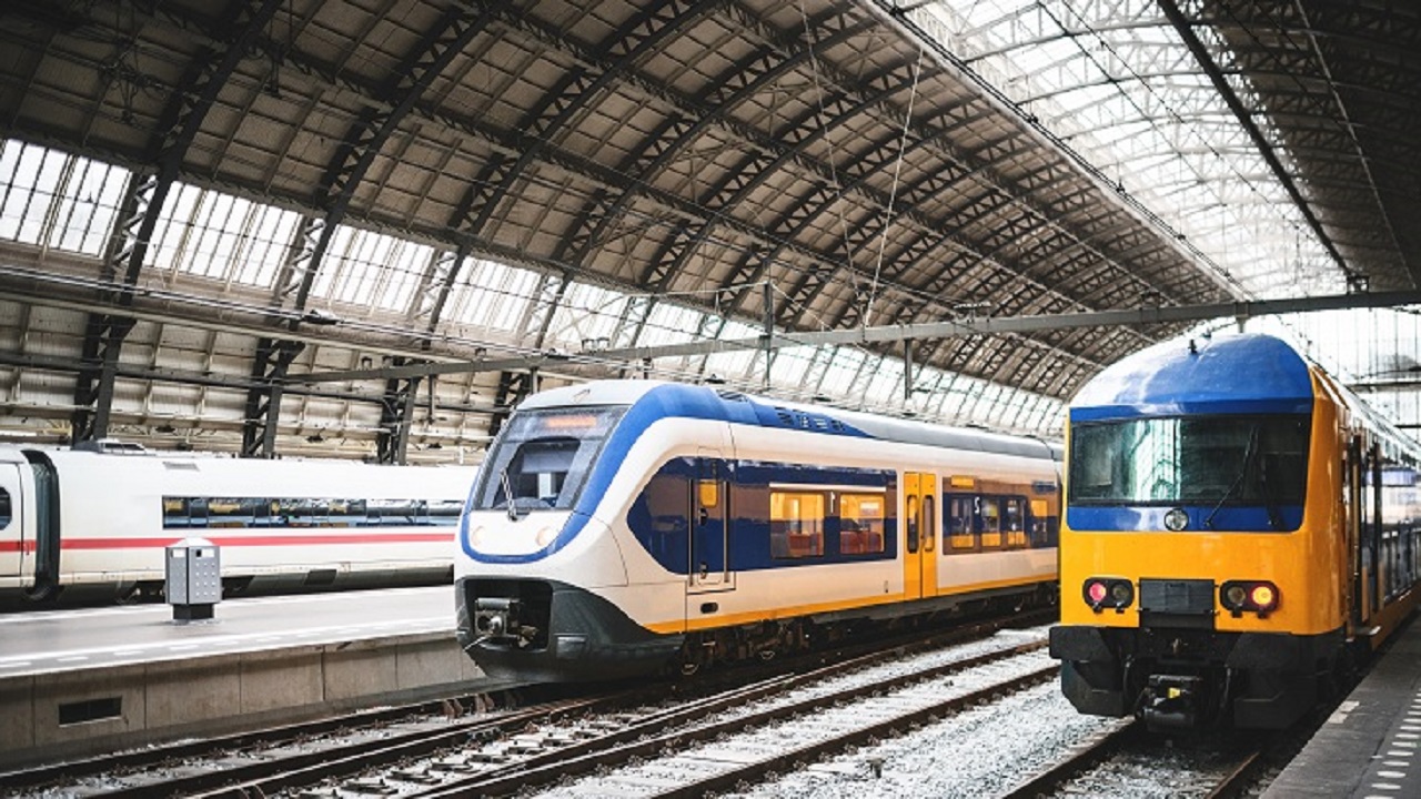 হাচিকো- এক বিশ্বস্ত কুকুর